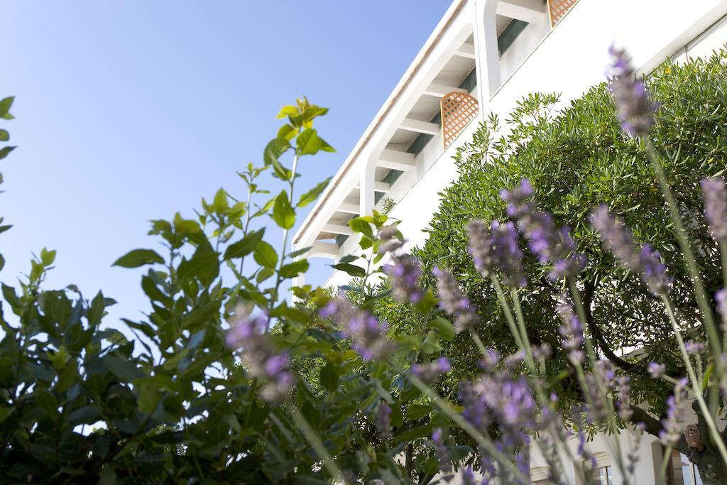 Baby Gigli Hotell Numana Exteriör bild